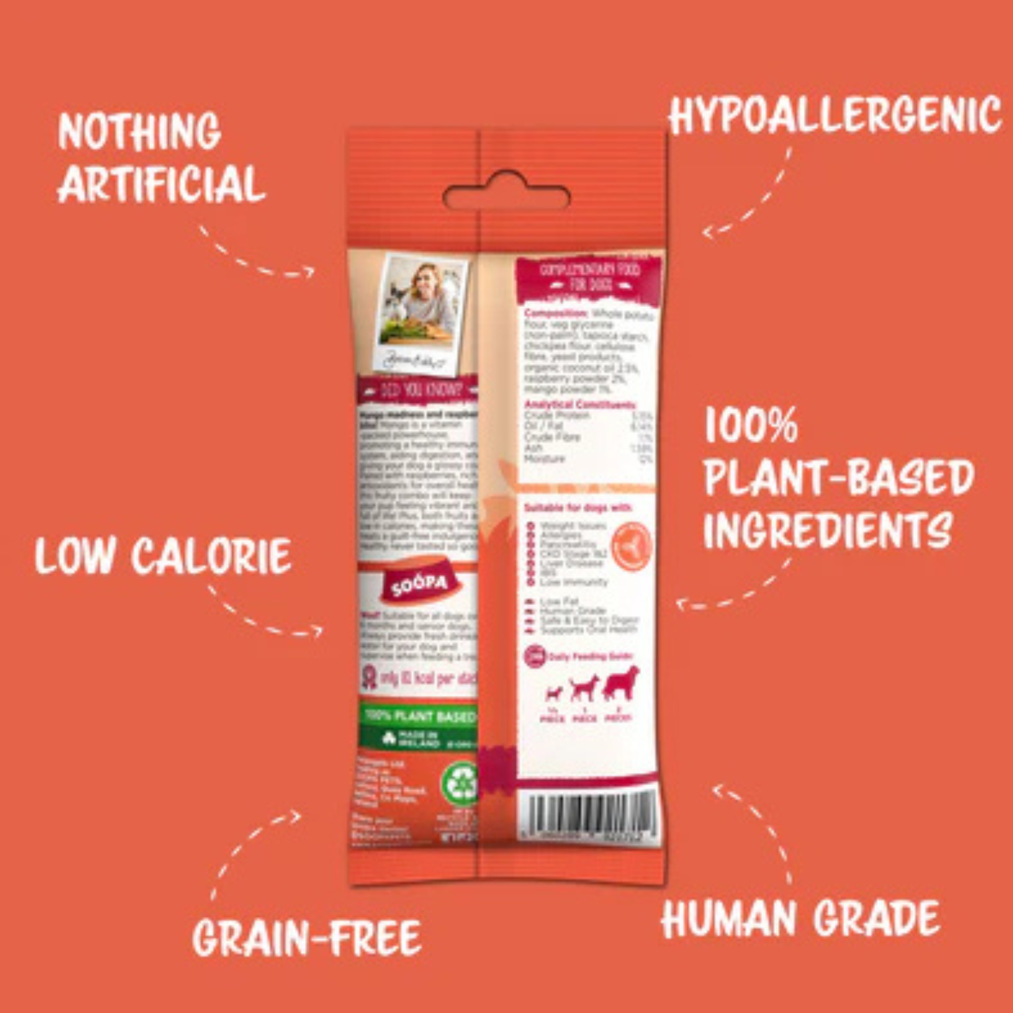 Mango & Raspberry Dental Sticks