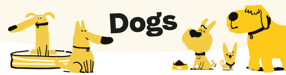 For dogs – Dogs Trust Shop