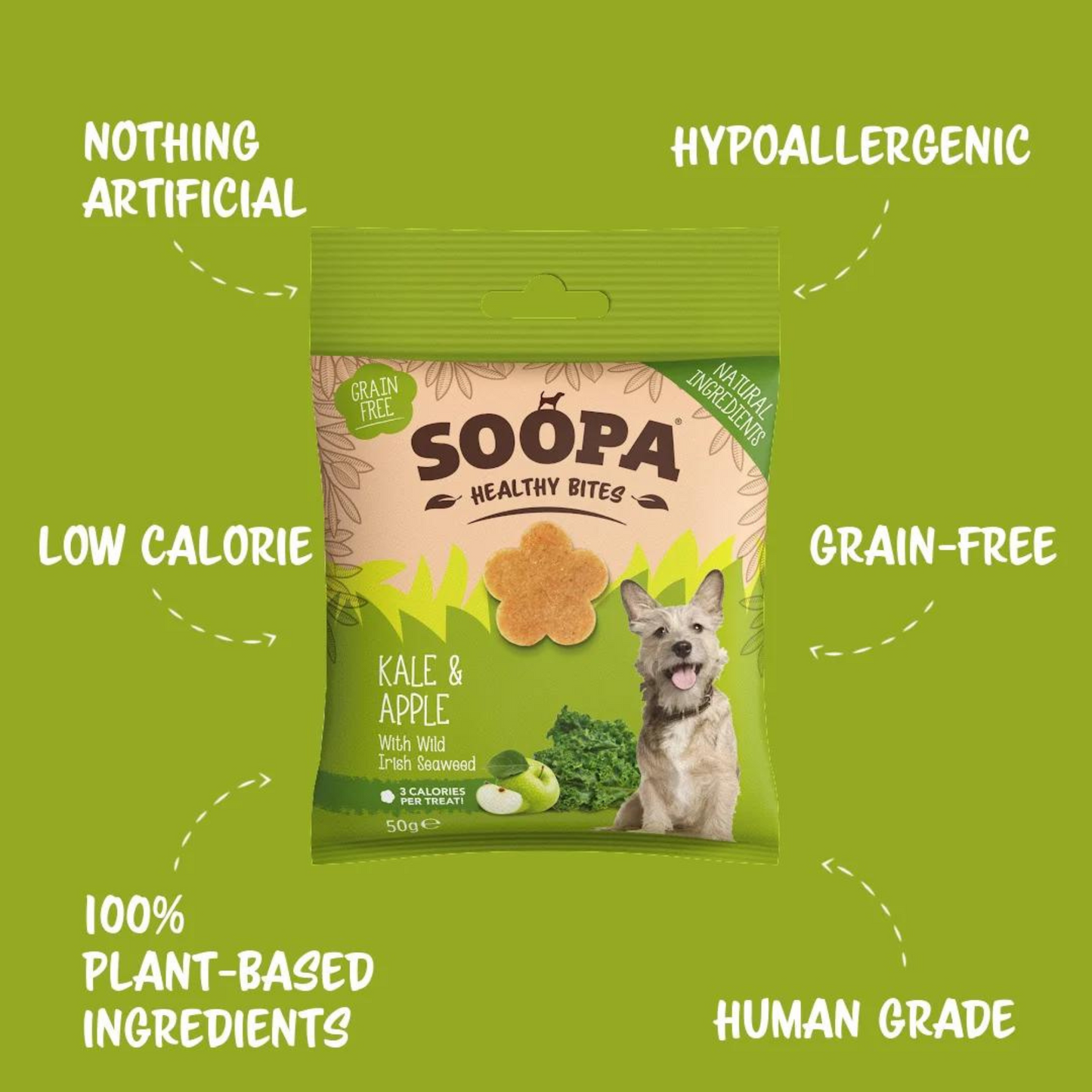 Kale & Apple Healthy Bites - Dog Treats