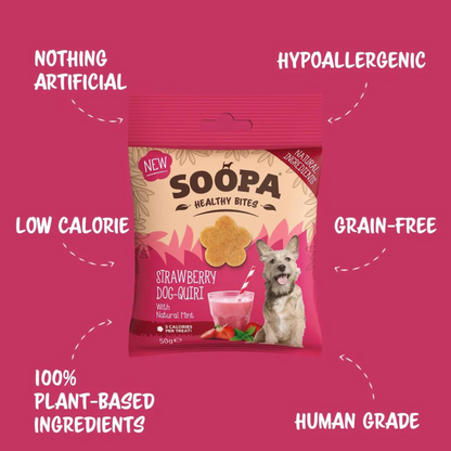 Strawberry Dog-Quiri Healthy Bites – Dog treats