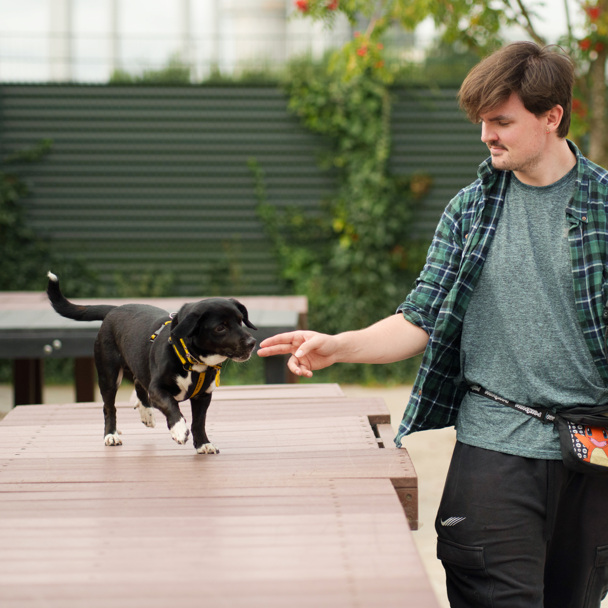 Paw-sitive Behaviour Training – A Gift for a Dog in Our Care