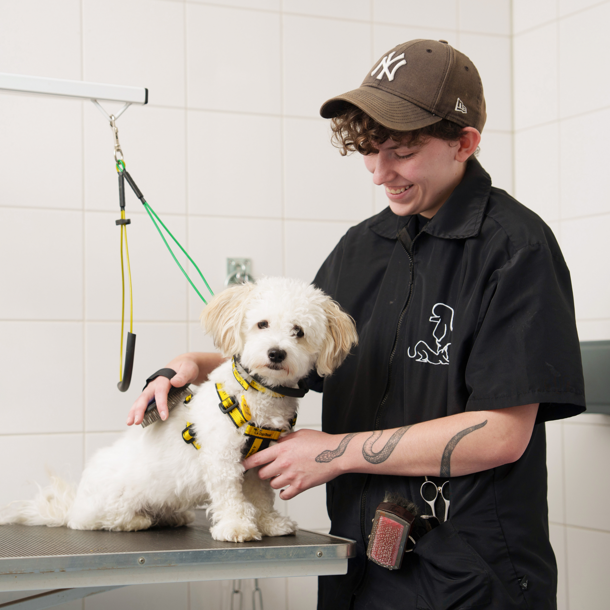 Paw-sitive Behaviour Training – A Gift for a Dog in Our Care