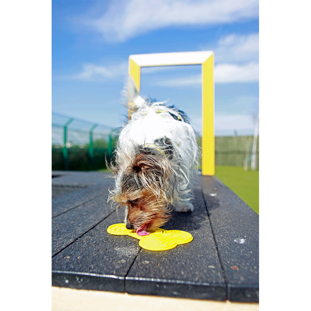 Dogs Trust Lick Mat for Dogs