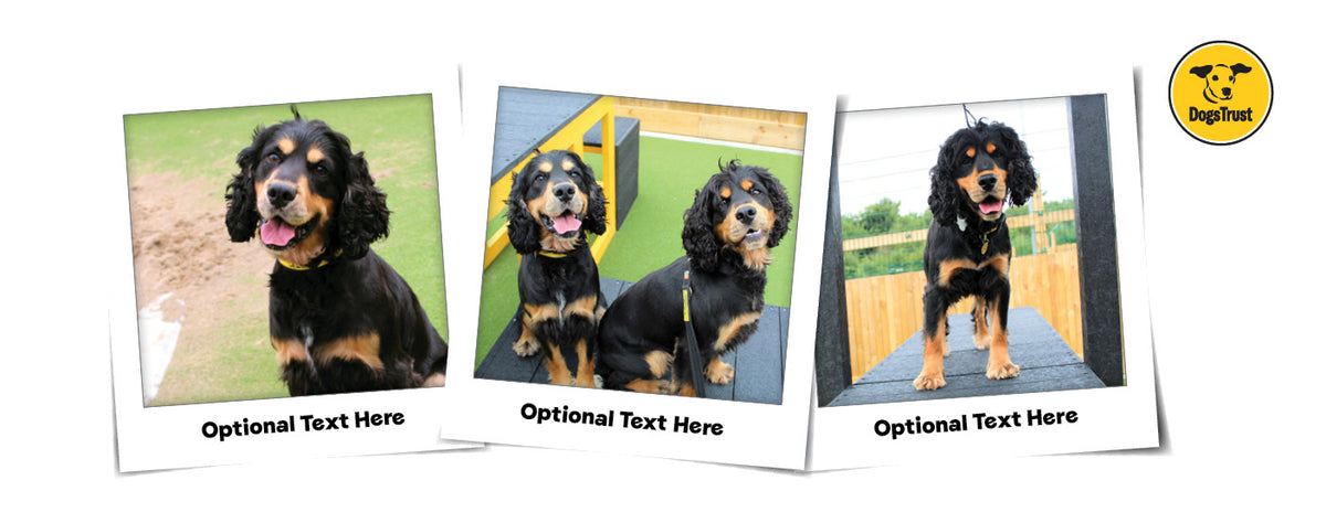 Personalised Photo Mug – 3 Photos & Optional Message
