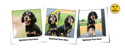 Personalised Photo Mug – 3 Photos & Optional Message