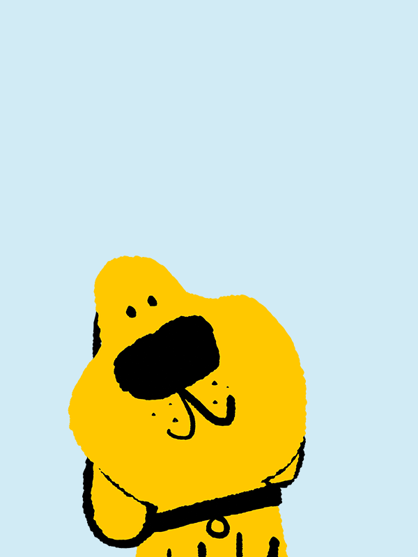 Dogs Trust Online Shop Shop for Your Dog and Support Dogs Trust