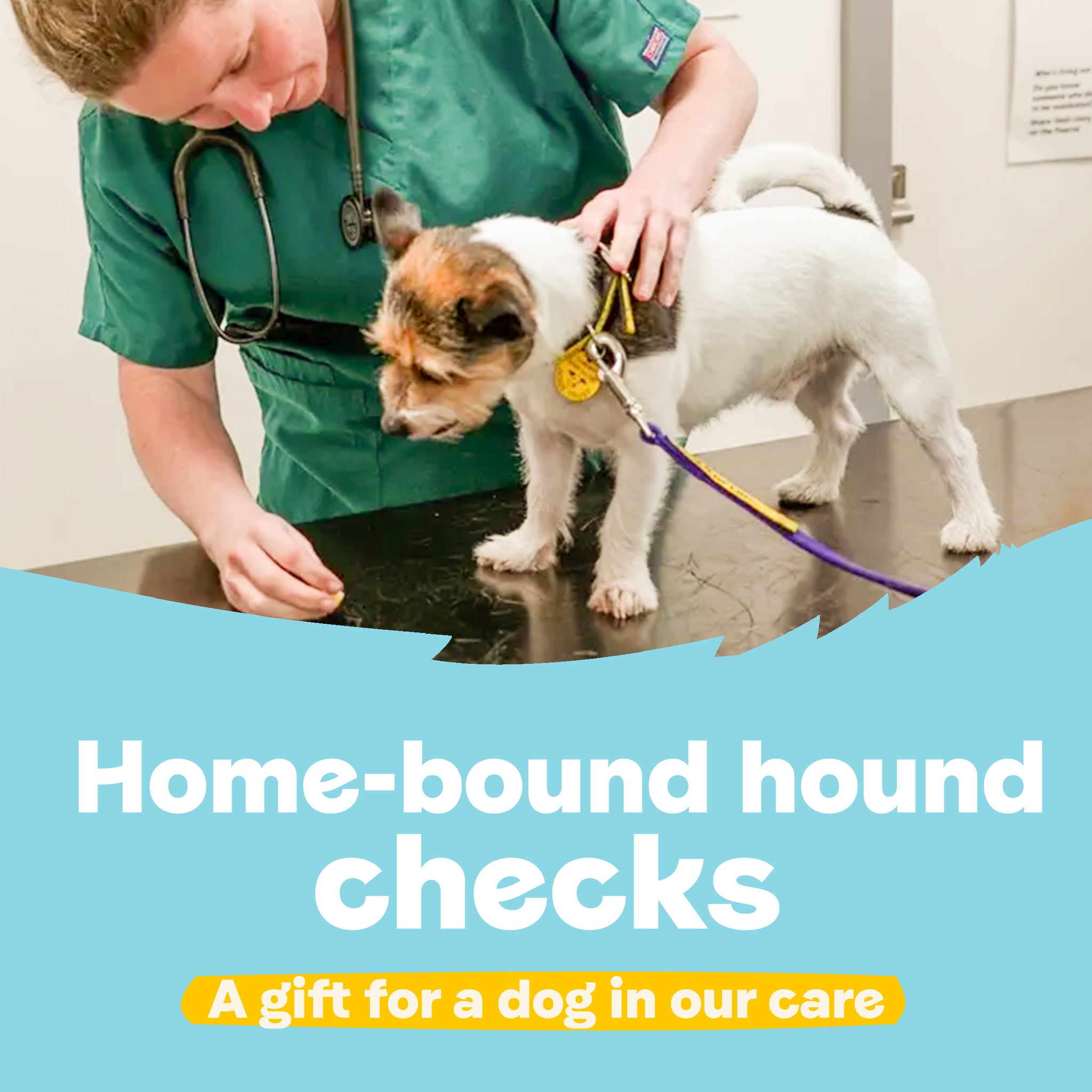Home-Bound Hound Checks– A Gift for a Dog in Our Care