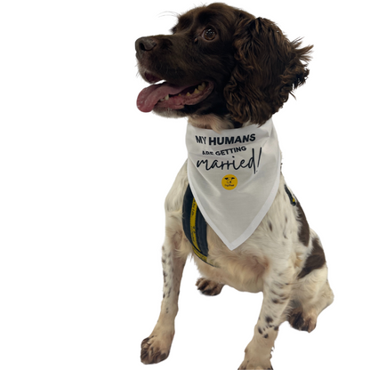 Wedding Dog Bandanas with Adorable Designs