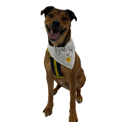 Wedding Dog Bandanas with Adorable Designs