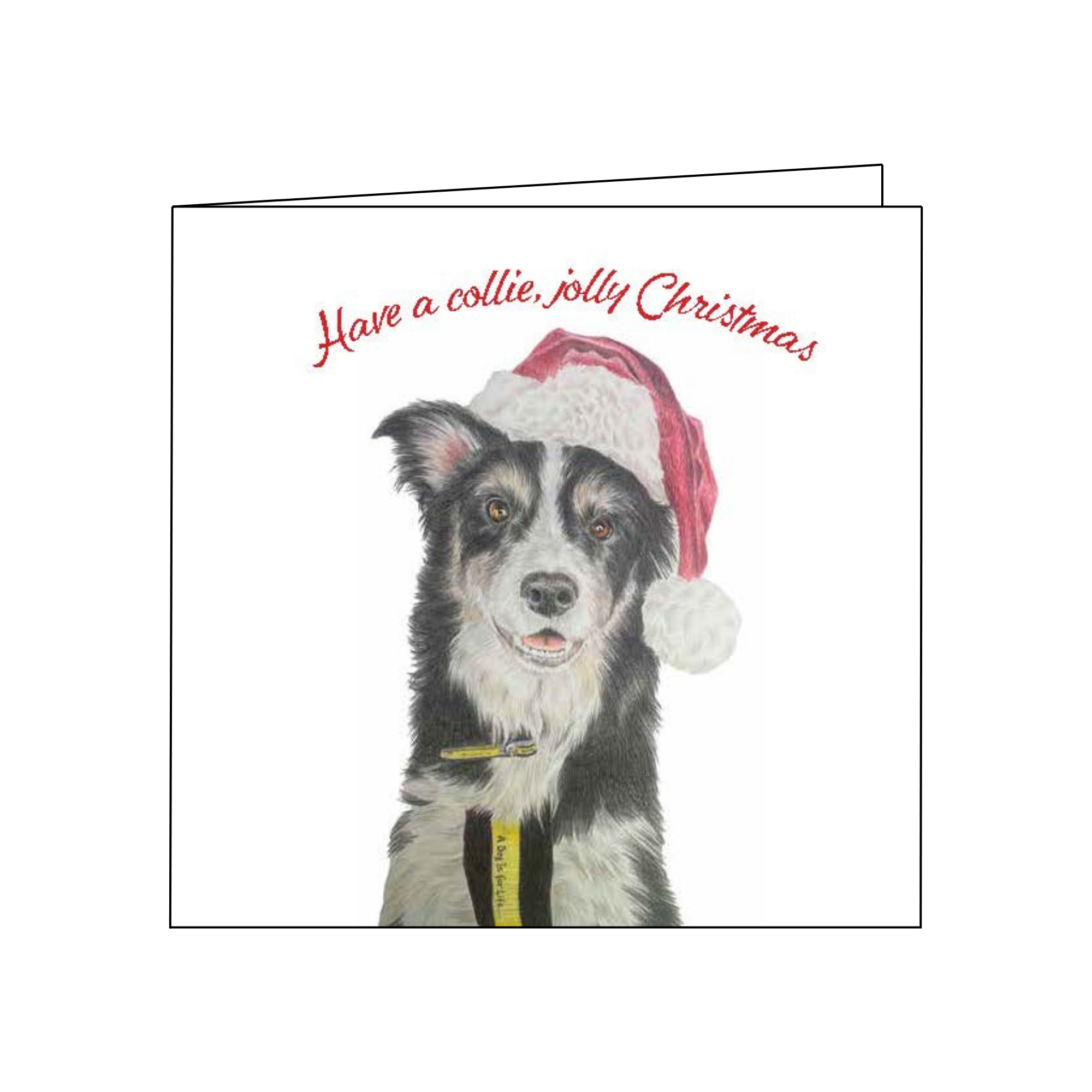 Christmas Cards - Pack of 12 with Charming Dog Drawings