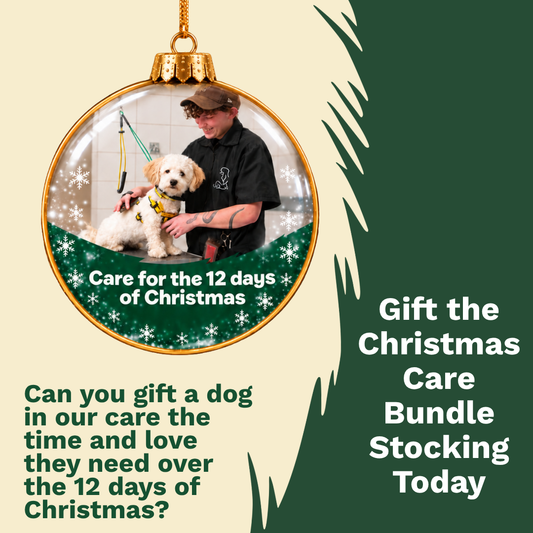 Christmas Care Bundle – 12 Days of Love - A Gift for a Dog in Our Care