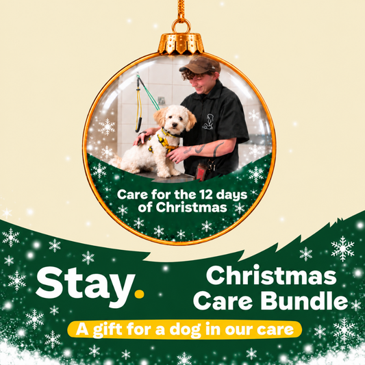 Christmas Care Bundle – 12 Days of Love - A Gift for a Dog in Our Care