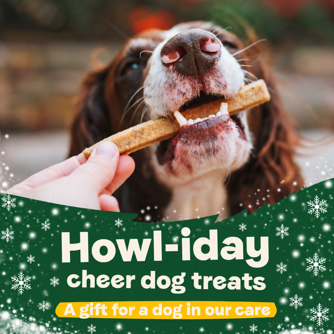 Christmas – Howl-iday Cheer Dog Treats – A Gift for a Dog in Our Care