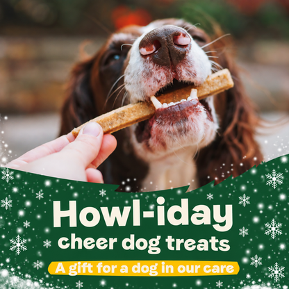 Christmas – Howl-iday Cheer Dog Treats – A Gift for a Dog in Our Care