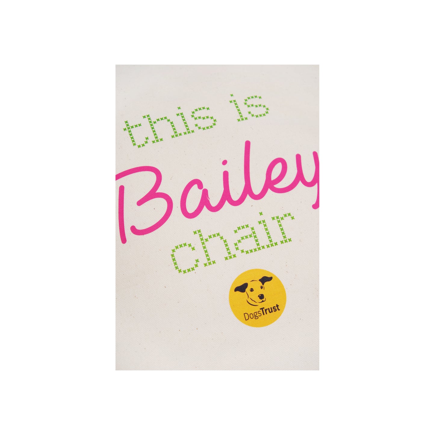 This is 'Your Dog's Name' Chair - Personalised Dog Cushion!