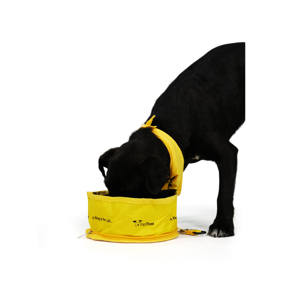 Fold Up Water/Food Bowl - Travel Bowl With 'A Dog Is For Life' Print