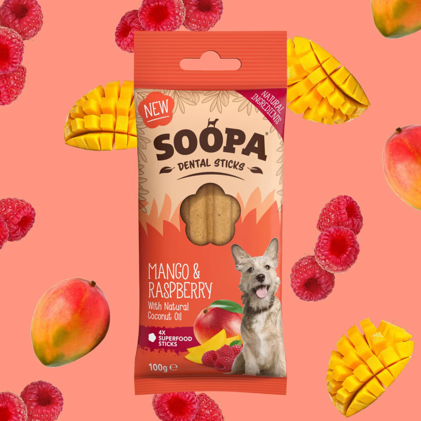 Mango & Raspberry Dental Sticks