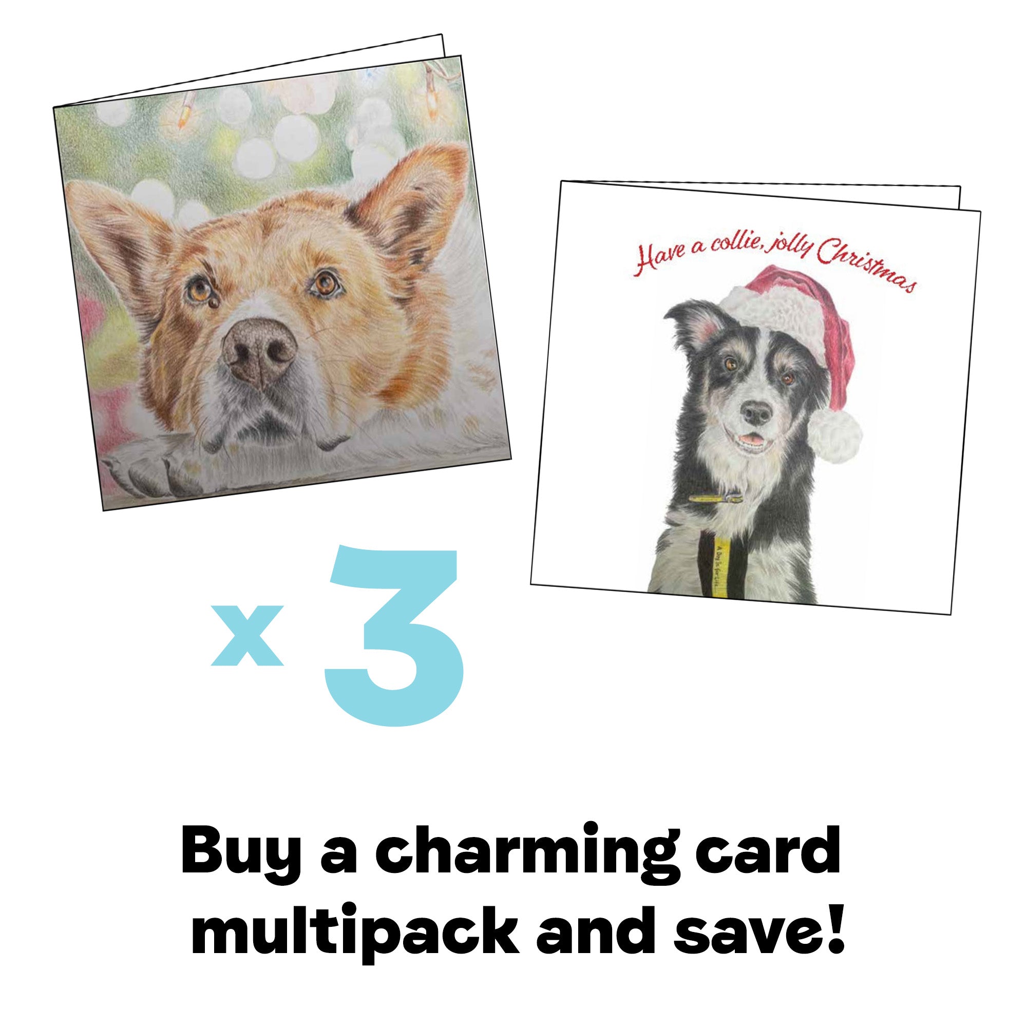 Charming Dog Christmas Card Multipack - Buy 3 and Save