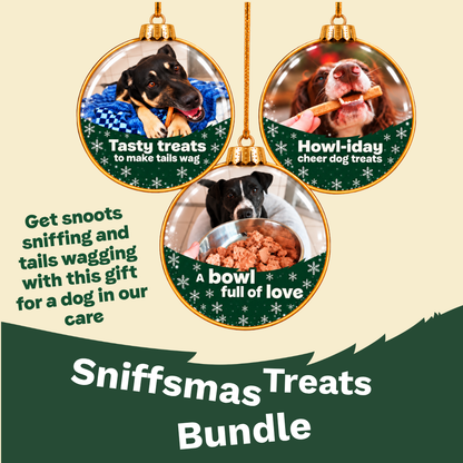 Christmas - Stocking Full of Treats - A Gift for a Dog in Our Care