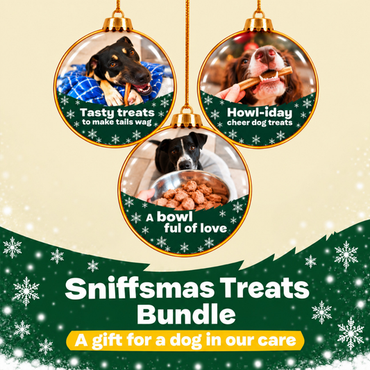 Christmas - Stocking Full of Treats - A Gift for a Dog in Our Care